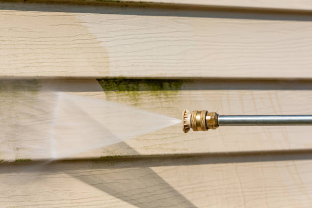 Best Roof Pressure Washing  in Lynchburg, TN